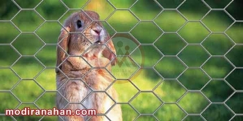 توری مرغی چیست و چه کاربردی دارد؟ | تولید توری مرغی