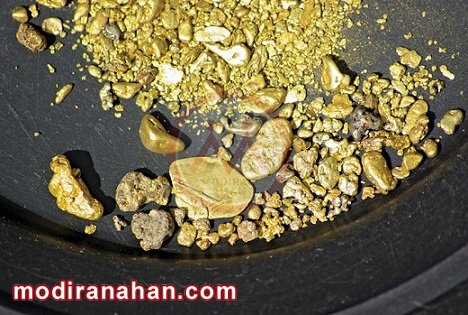 تصویر شماره 1 - طلای یافته شده در طبیعت