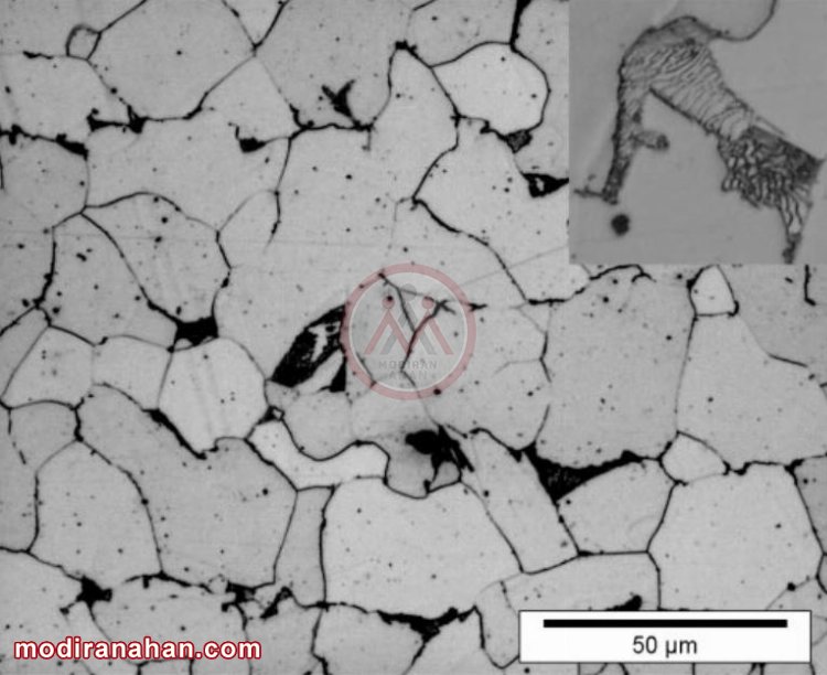 light microscopic image of steel