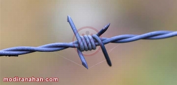 what-is-barbed-wire